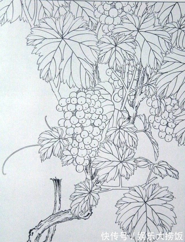 临摹@画工笔画没有线稿?快把这些难得一见的线稿收藏起来,全部画一遍
