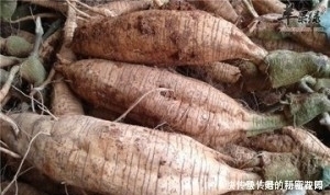 芹菜|高血壓患者不用怕，四種食物可多吃，血壓不回升！