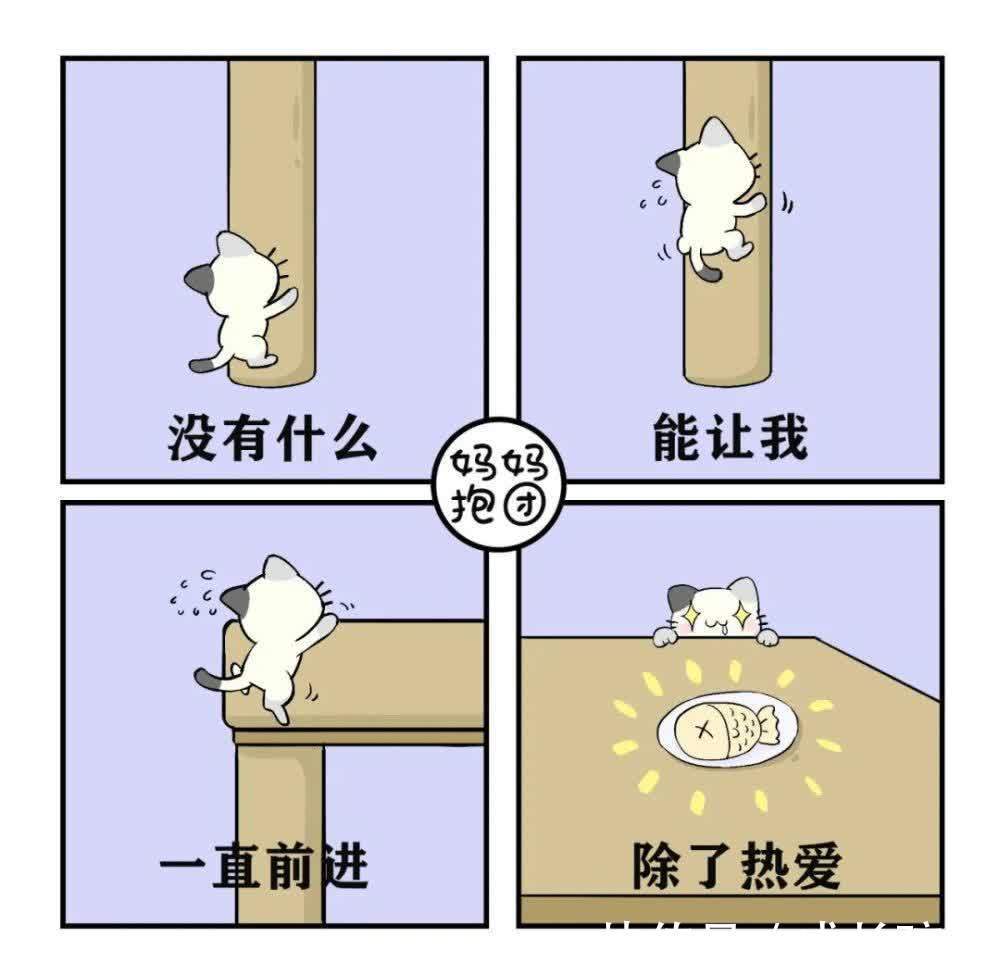 雷布斯|如何养出一个内心富足的孩子,你要注意这10个细节