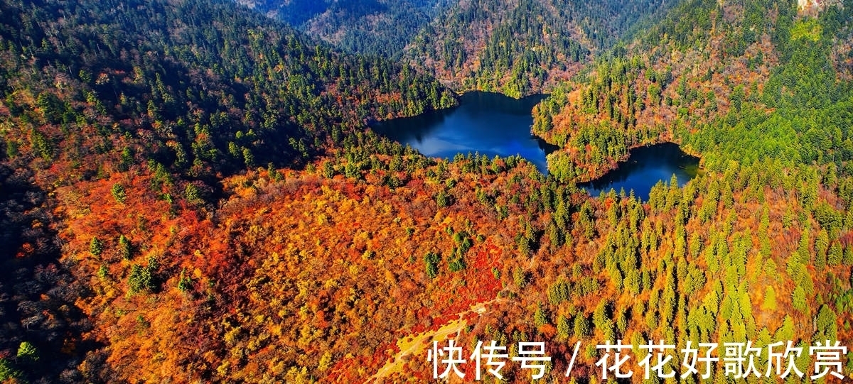 九寨沟|走进九寨新12景｜深山秘境甲勿海 大熊猫“民宿”住着4只可爱的滚滚