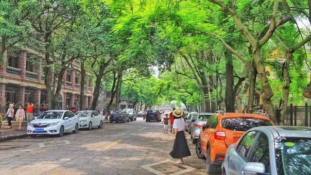 中年|中国最美的大学胜似公园，游客比学生还多，无奈成为旅游景点