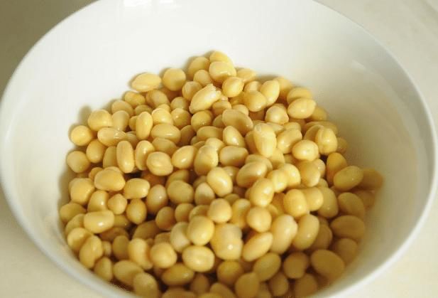 别再买豆芽了！有豆子就能发，3天就发好，无化肥更健康，超简单