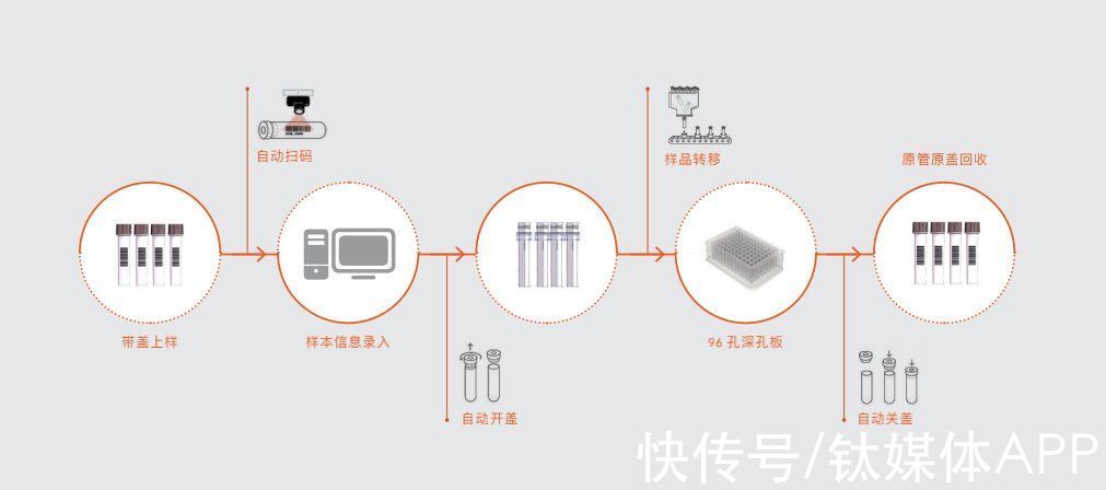 镁伽|核酸检测自动化背后，生命科学实验室如何革新？丨快公司