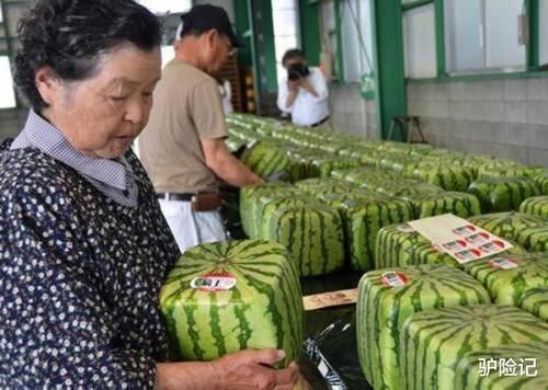日本|“为啥不卖西瓜给我”日本游客中国买瓜遭拒，老板来捣乱的