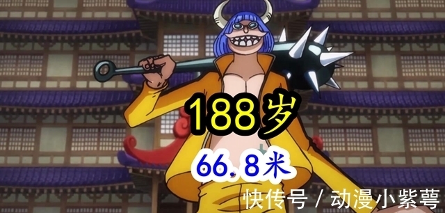 海贼王|海贼王:三灾年龄公开,奎因最大,有56岁,只比凯多小3岁