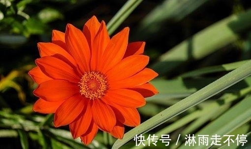 爱火|未来8天，新月来临，旧爱难忘，主动求和，乞求复合，重燃爱火