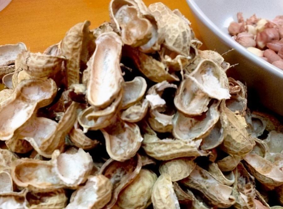 养花时,就用4类沤料,越臭越好养花,养啥都旺得快