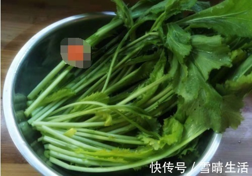 雪里蕻|这菜上桌一扫而光,又嫩又脆又香,孩子说没它吃饭都不香!