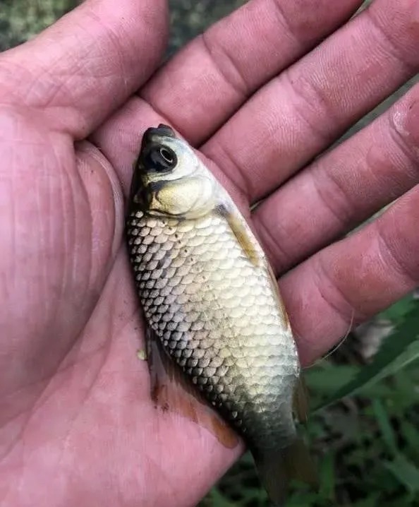 冬季什么天气好钓鱼?不管晴天阴天,只要这3个参数给力就好钓