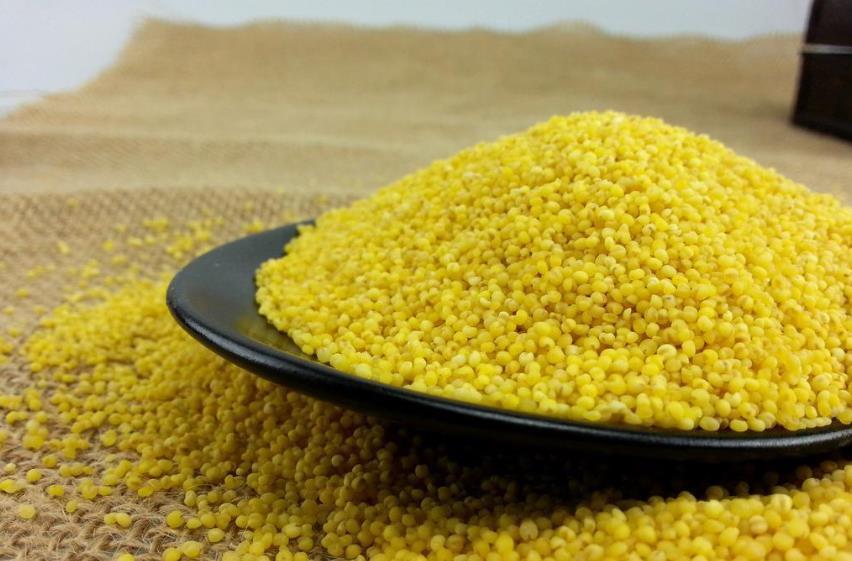 老年人|家有老人,建议多让老人吃这5种食物,营养滋补,常吃常精神