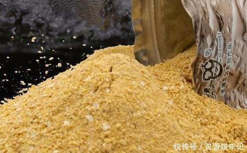 九一八必须搭配蓝鲫才好用?高手早就撇开蓝鲫了,这样搭配才厉害