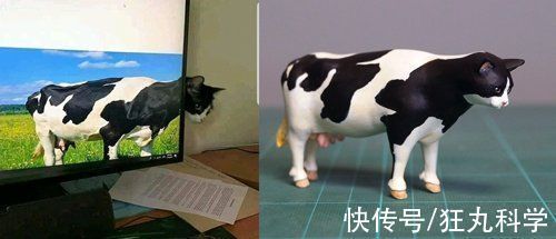 长颈狗|全球的猫都想屏蔽这个日本人,他到底做了多少沙雕手办?