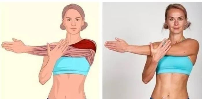 强身健体|全身拉筋3D图解，一步到位，在家也能强身健体