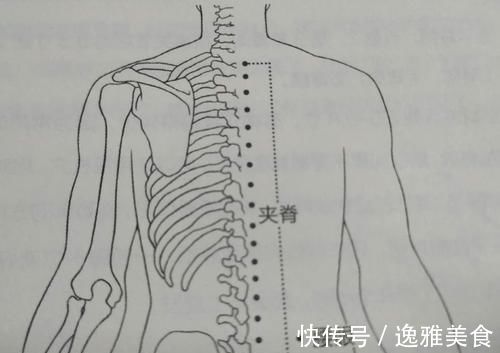 夹脊穴|盆腔炎按摩哪里?哮喘最有效的穴位,最容易疼痛的腰眼穴在哪里?