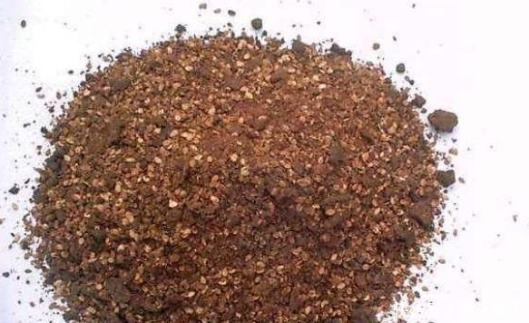 养花土里加“废渣”,土壤疏松又肥沃,盆土不板结,植物长得旺