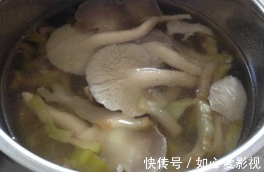 平菇|餐桌上的“天然抗生素”，杀菌消炎，健胃降脂，提高免疫力