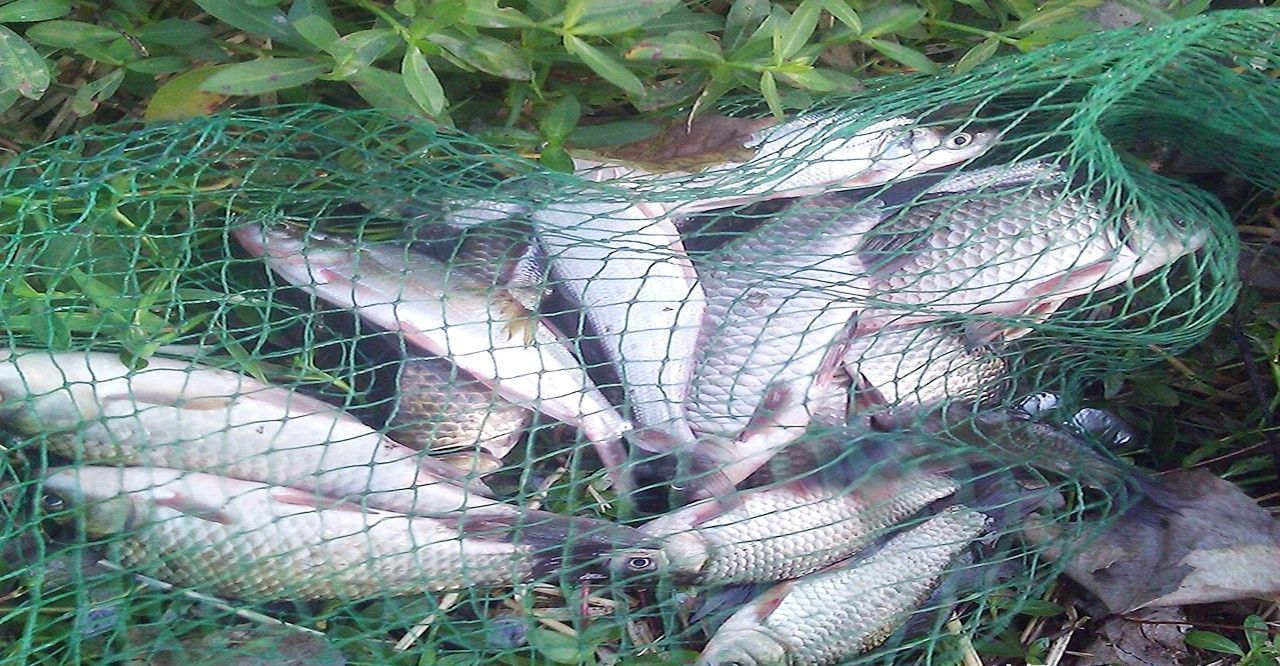 钓友|能钓多少鱼,并不是靠饵料、小药和打窝,而是由它“决定”