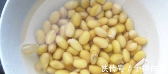 养花强根用黄豆水,制作中多添些“它”就没有臭烘烘的味道