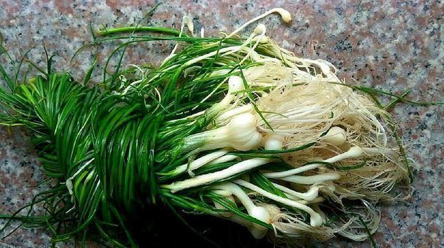 消失|7种农村快要消失的美食,你见过,不一定吃过哦