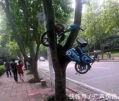 |搞笑图片幽默段子笑话电瓶车还挂到树上去了啊,真是厉害哦