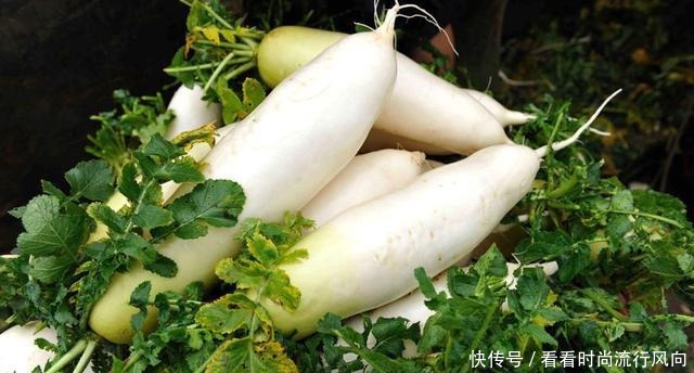 叶子比根好,含钙量是牛奶的3倍,味道也很好,值得一试!