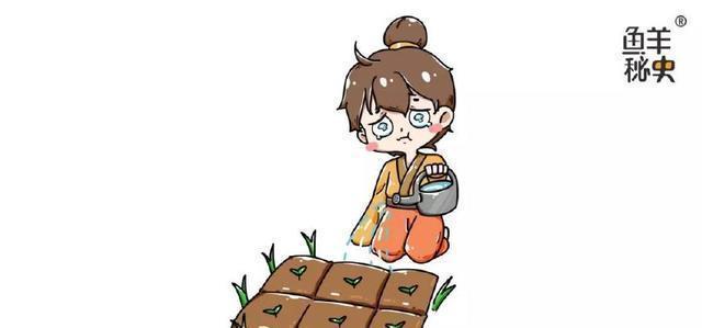 家族|一场争夺女人的战争,这个家族为了「报仇」整整准备了1000年!