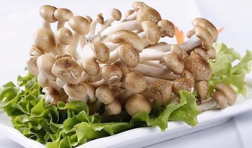 蟹味菇|秋天女性都爱美,记得吃好食物,缓解失眠、预防衰老,促进排毒素