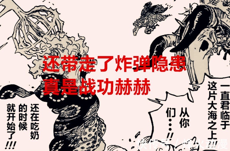 战功|海贼王1040话:大妈一战,被冠以“友军王”称号,她确实战功赫赫