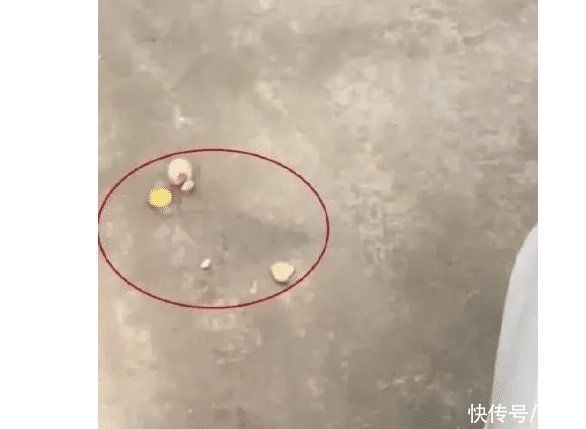 绿茶餐厅吃了可以变绿茶吗……