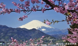 北方四岛|俄罗斯居然主动归还日本领土？俄高官：可以，但需满足一个条件
