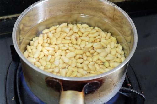 君子兰|几颗“黄金豆”埋盆里,君子兰花朵大叶片绿,妈妈真会养花!