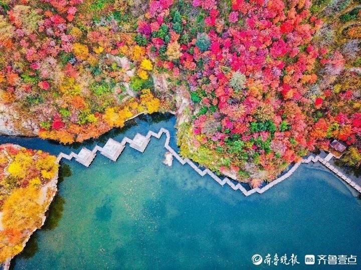 南山|最美秋日好出游，济南南山树木红透半边天