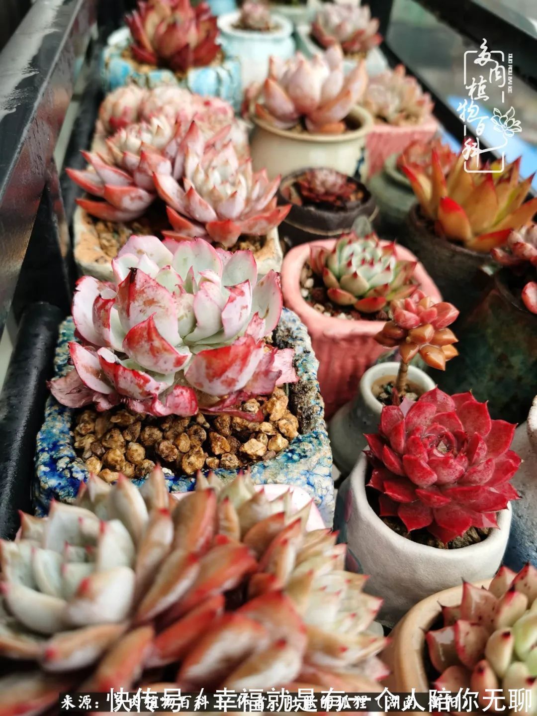 爱这一片缤纷的色彩,因为我们都是好色之徒!