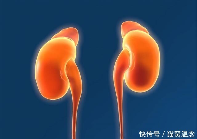 谨记|枸杞养生价值高,谨记“3常喝、3不碰”,或能为健康保驾护航