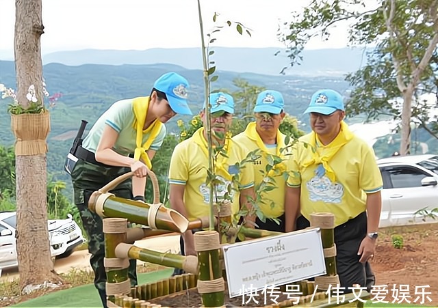 国王|诗妮娜贵妃不愿委曲求全，她既不想投靠苏提达，也不愿拉拢西拉米