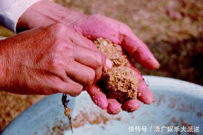 面粉|多年收集的30种民间钓鱼饵料偏方,钓鱼人多看看!