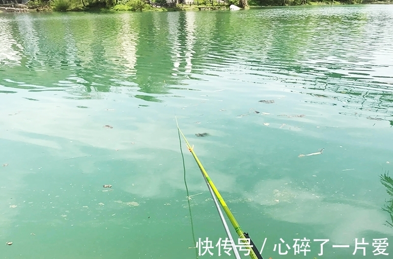 政府出资修钓台,提供垂钓好去处!享受的同时莫忘自觉,方能长久