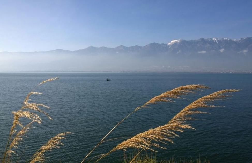 爱人|听月儿朗诵《致爱人》