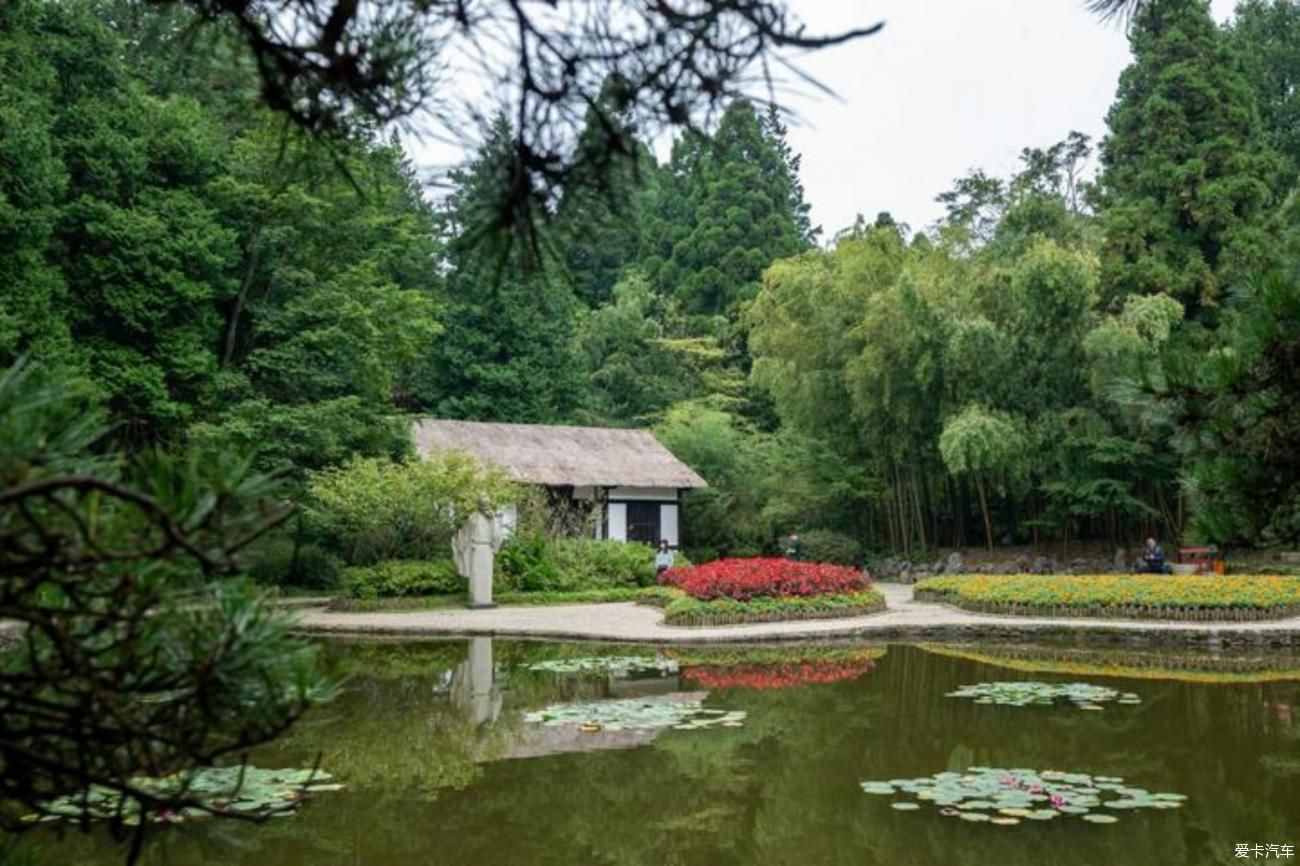 花开山寺，咏留诗人