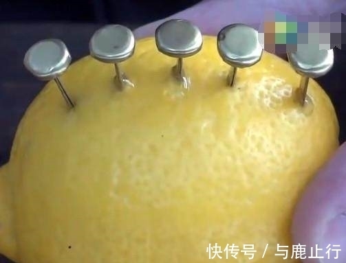柠檬酸|男子将柠檬上插满钢钉，没想到接下来发生的事情让众人傻眼