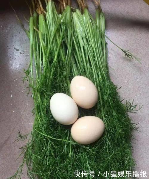 湿气|湿气重多吃这菜，三天两头吃，营养可口，湿气消失了，肝脏更健康