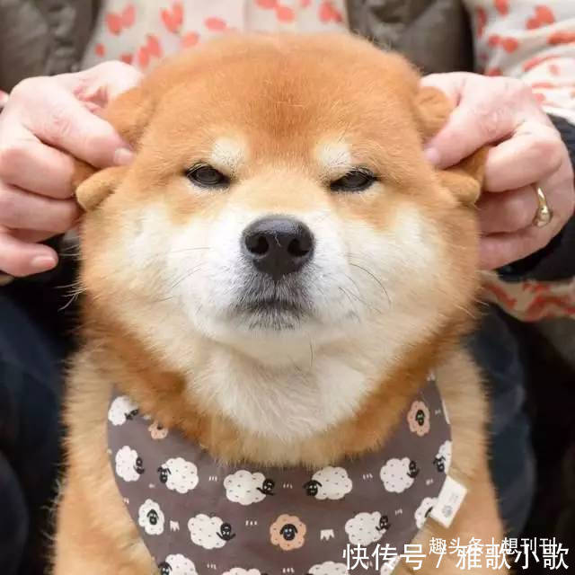 idol們|X玖少年團，完美展示現在男團idol們天堂和地獄有多近