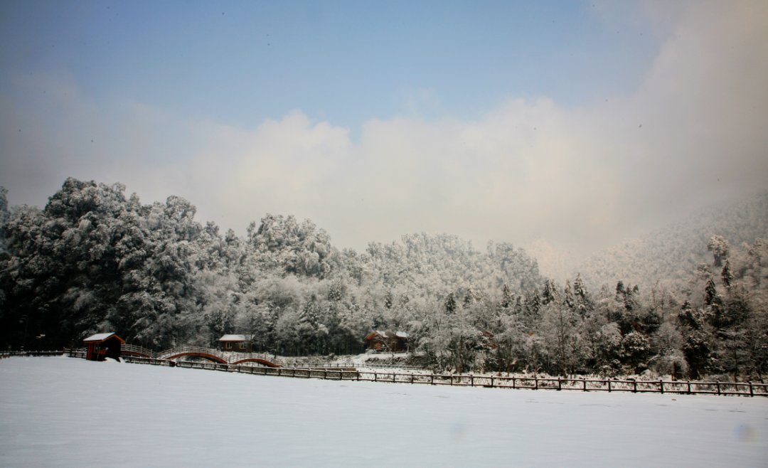 黑竹|黑竹沟也下雪啦！白茫茫一片，美炸！！