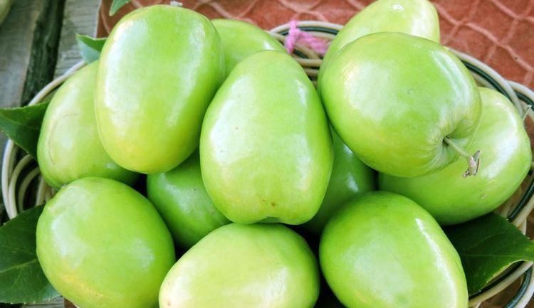 女性不想子宫早衰,不妨多吃此果,滋养卵巢,还能抚平大肚子