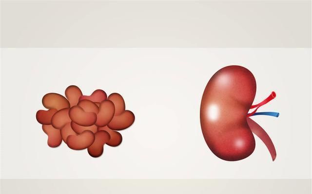 黄芪和它是“最佳搭档”,泡水喝,保护血管,肝肾可能“报答”你