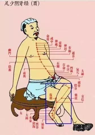 肝经|每天晚上拍小腿内侧,猜猜会有什么效果?
