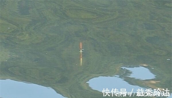 钓鱼调漂技巧:软尾浮漂的调漂技巧,跟硬尾浮漂差异巨大!