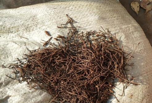 裂开|花盆里的土壤“裂开”了,“1把它”撒下去,3天变疏松,根系健壮