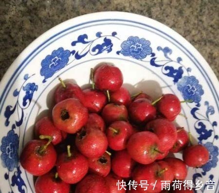 山楂果脯的做法!