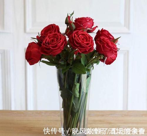 植物|家里万万不要养这几种花,好多人不听劝,难怪身体会越住越差